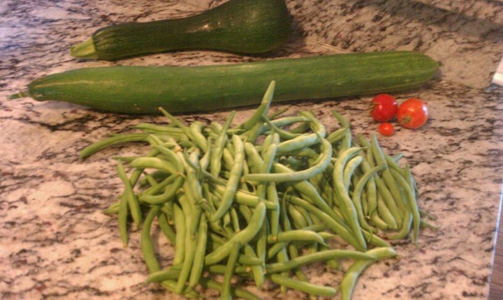2011 Garden Beans and an Extra Long Cuc