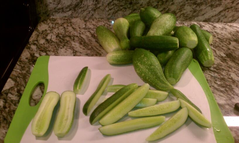 2012 Organic Garden - Making Pickles