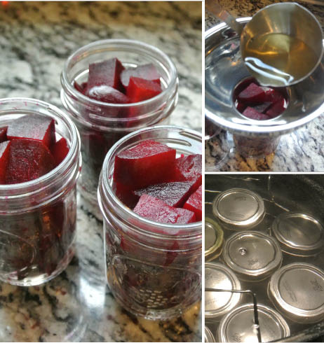 Canning Pickled Beets