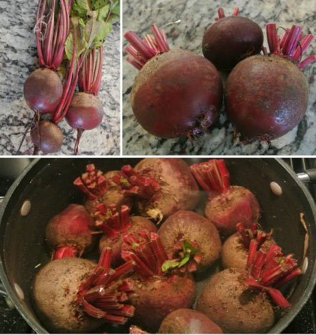 Preparing Beets for Pickling