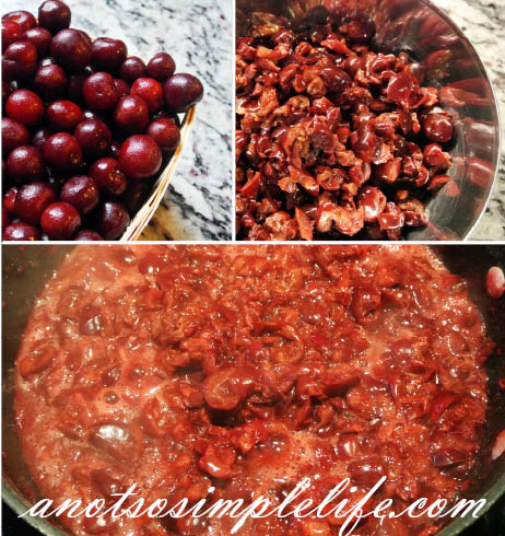 Organic Canning Tart Cherry Jam Recipe