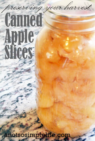 Canned Apple Slices; Preserving your harvest