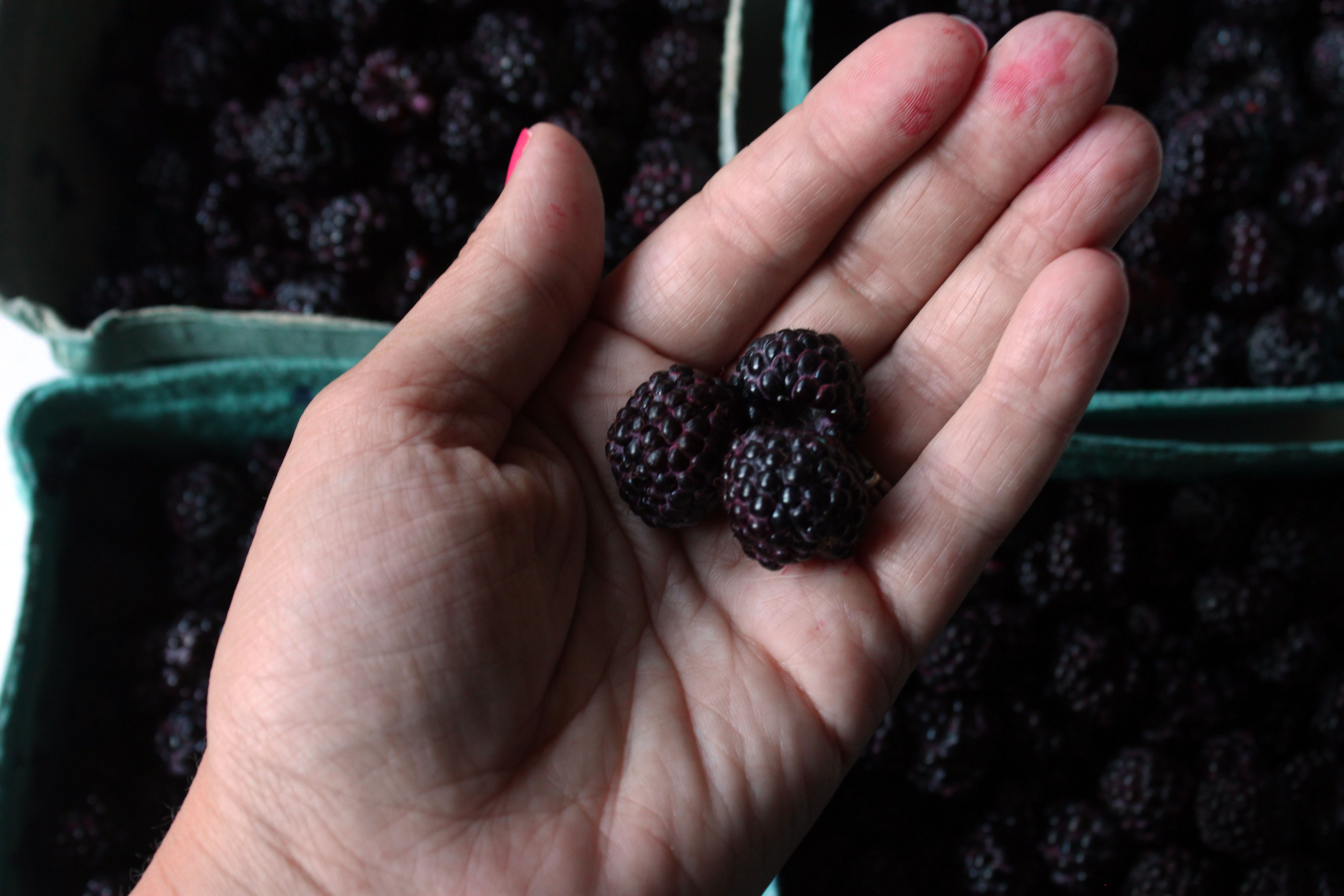 Black Raspberry Preserves (5)