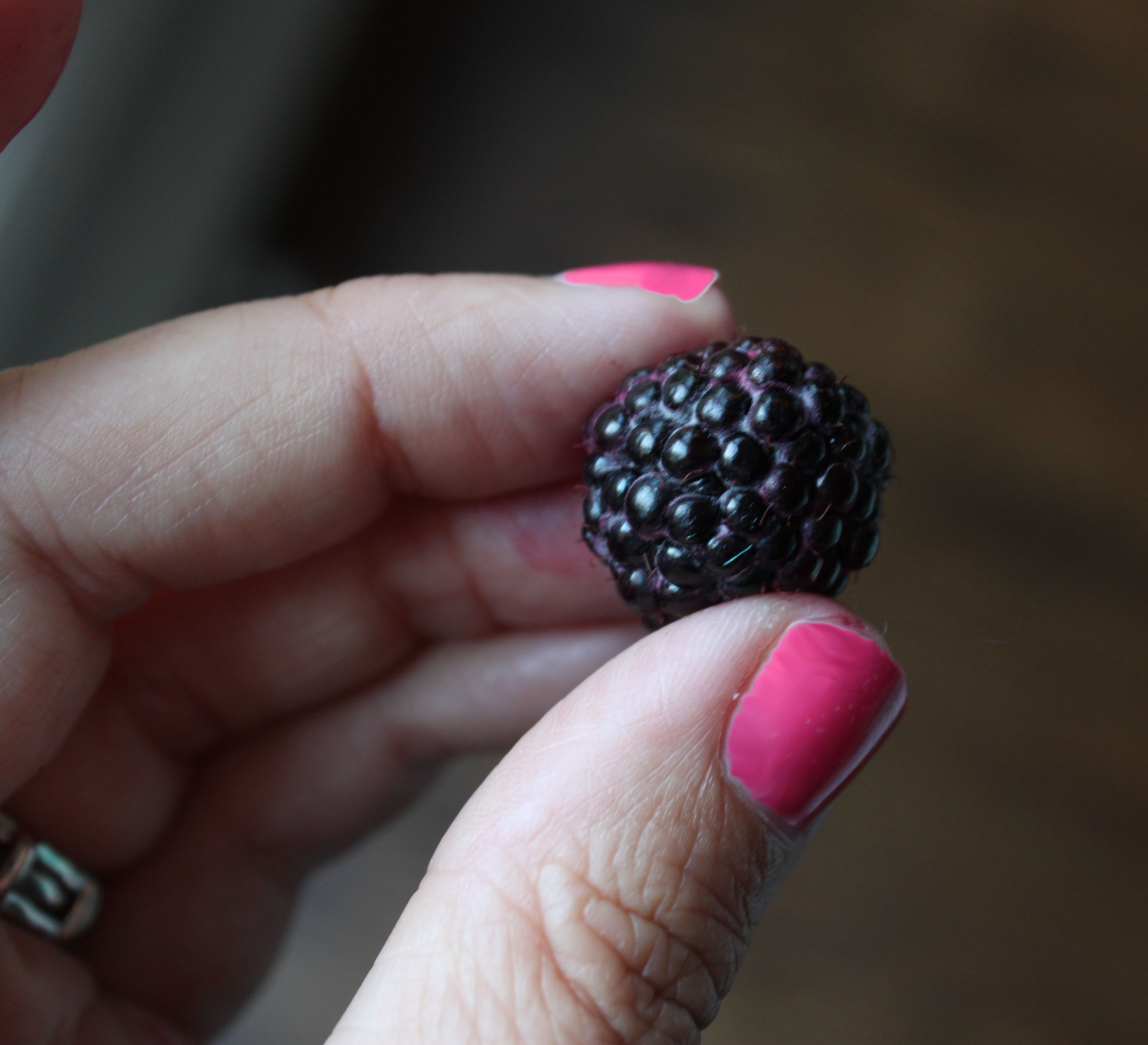 Black Raspberry Preserves (6)