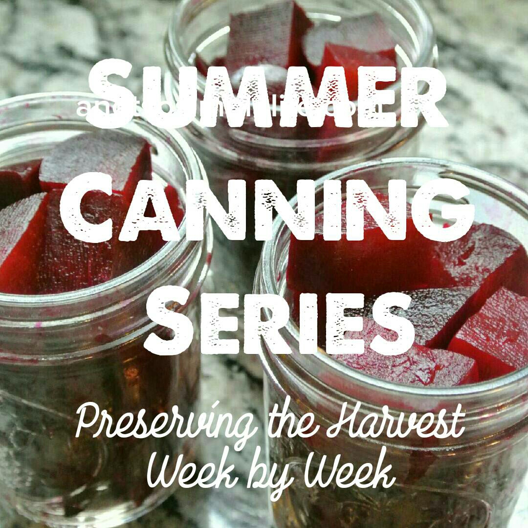 Summer Canning Series