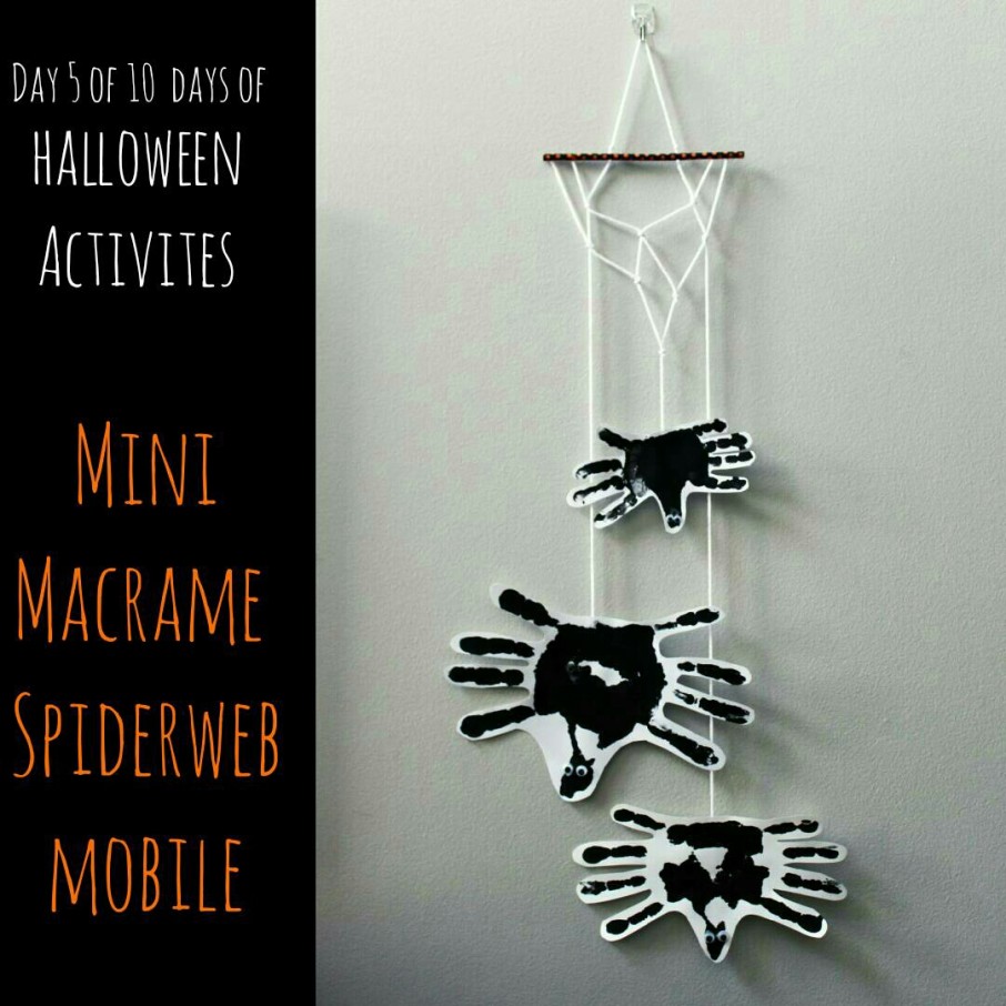 Mini Macrame Spiderweb Mobile