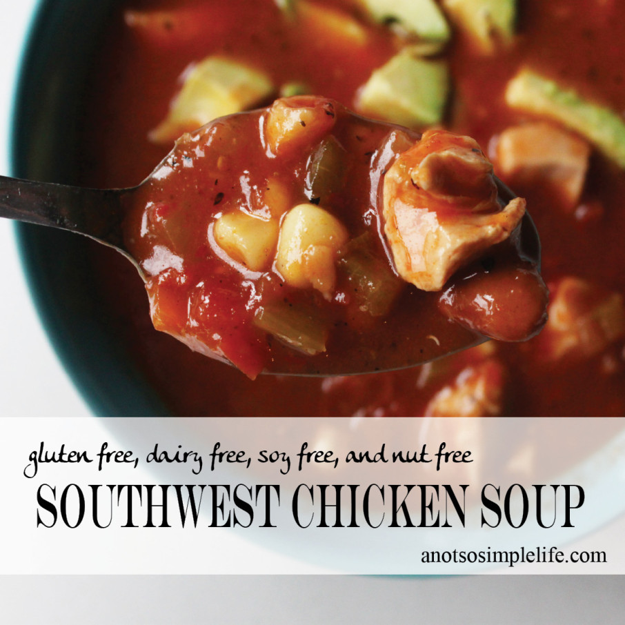 Southwest Chicken Soup